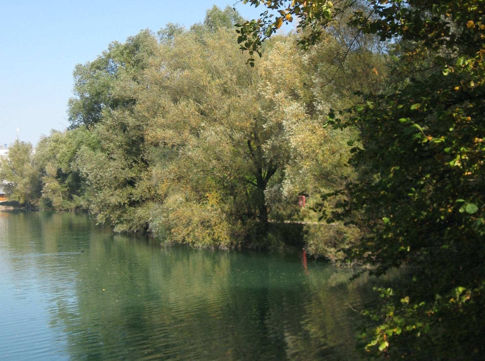 Herbststimmung am Kronthaler Weiher durch sich verfärbende Büsche und Bäume